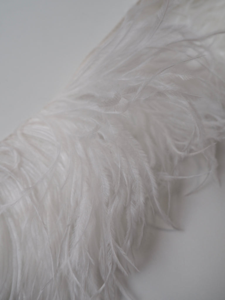 White Ostrich Feather Fringing