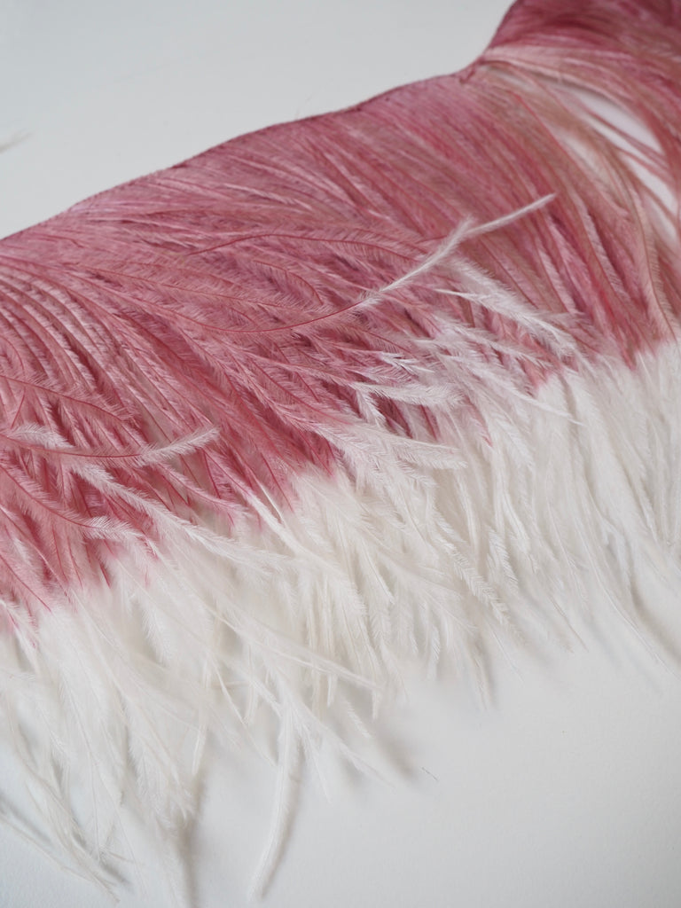 Snowy Rose Ostrich Feather Fringing