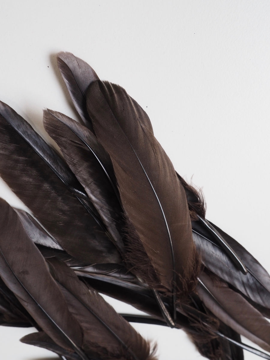 Brown Feathers