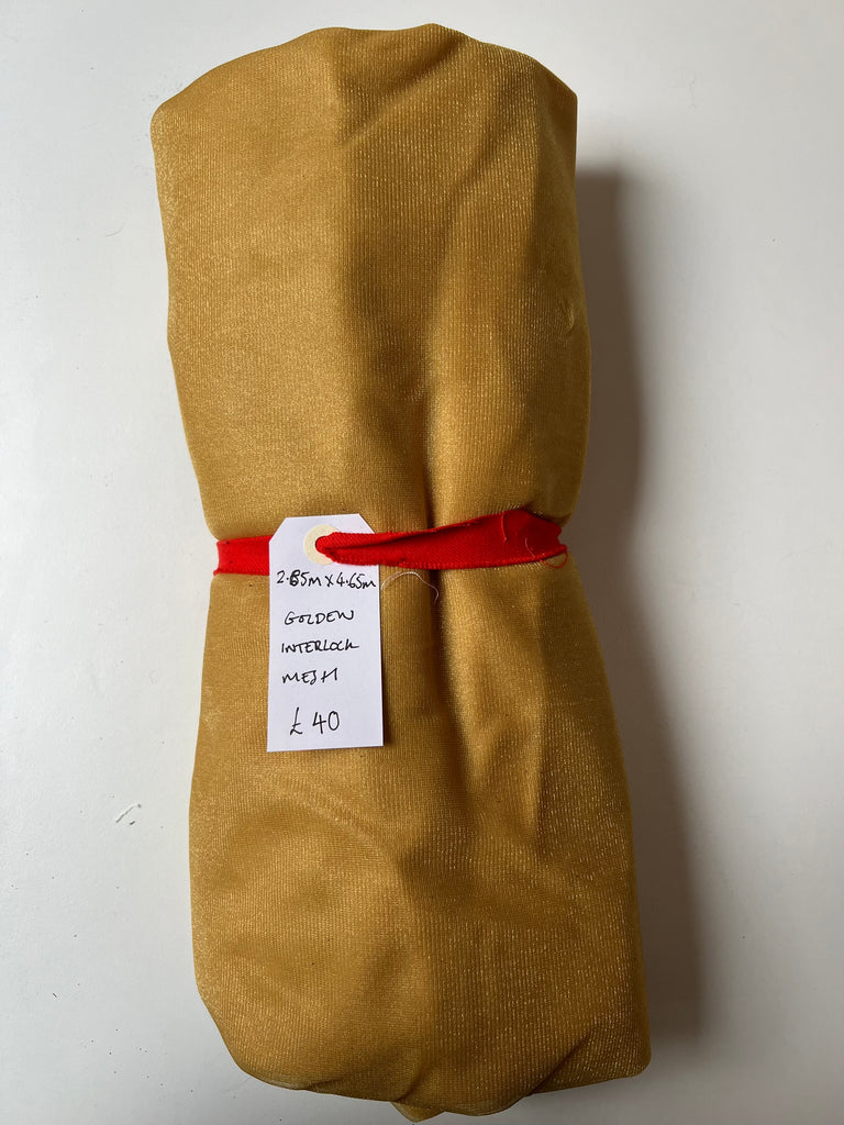 Golden Interlock Mesh Remnant