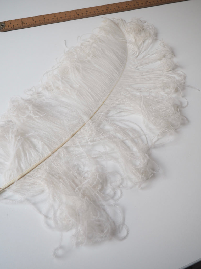 Ivory Ostrich Plume