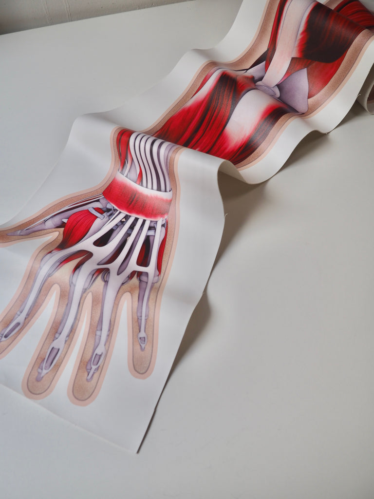 Arm Muscle Printed Panel