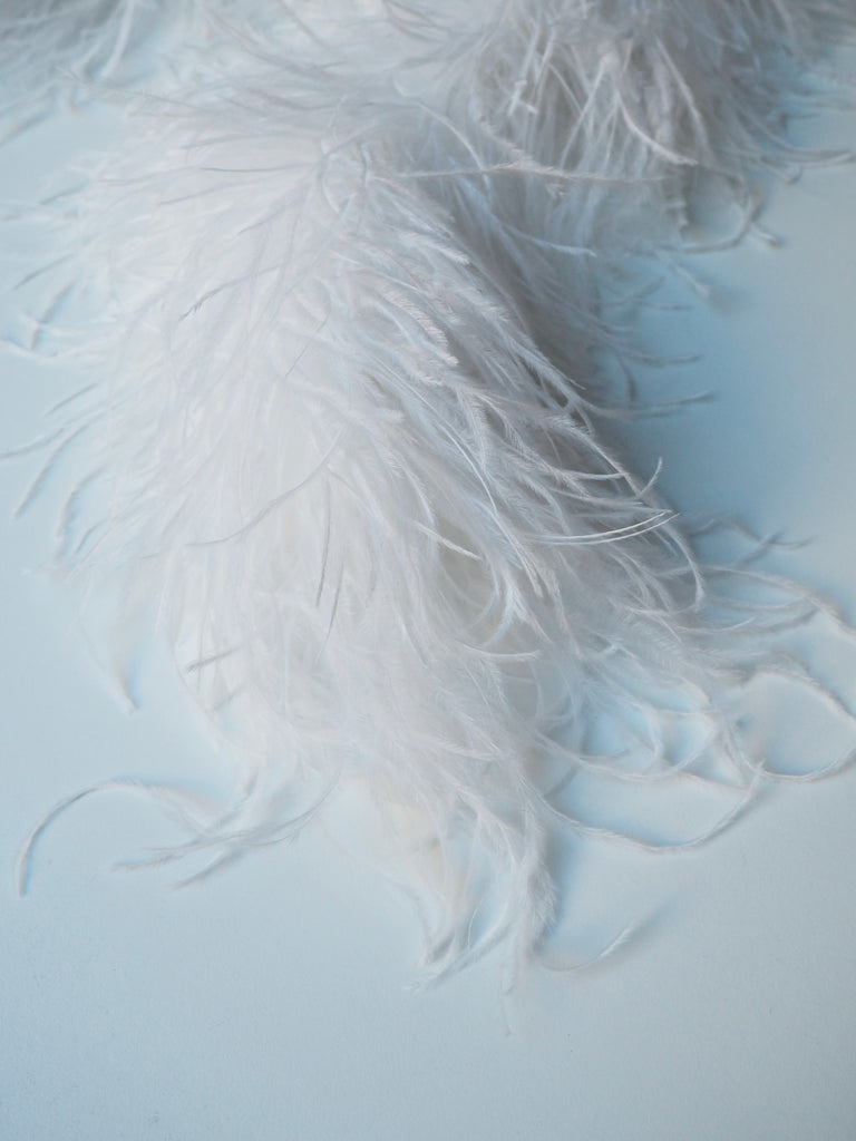Feather fringe ostrich feathers - Ernessa
