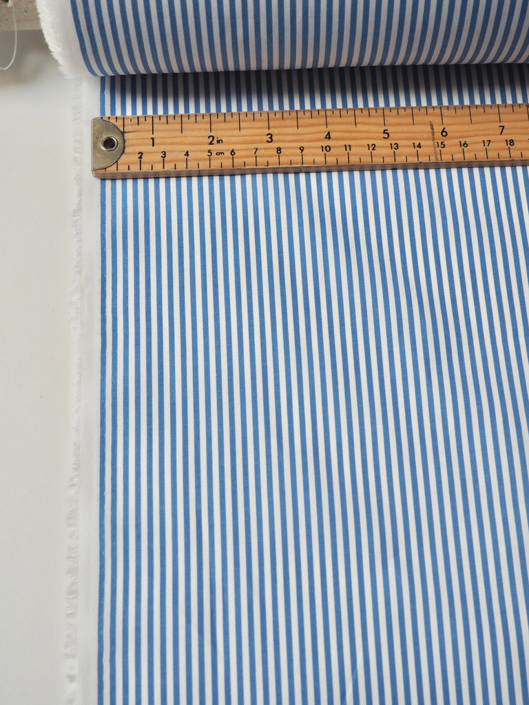 Blue Stripe Light Cotton Poplin