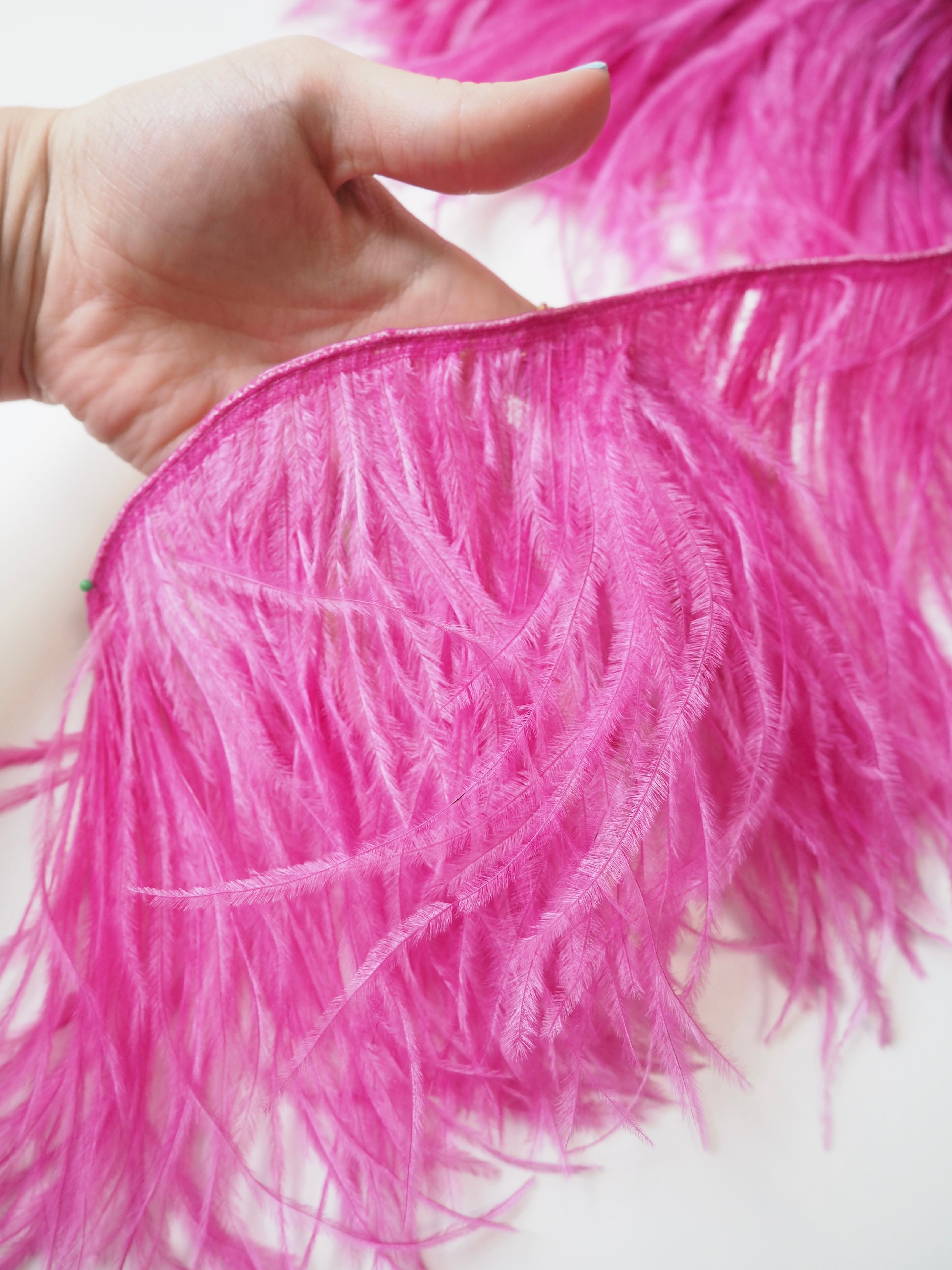 Pink Ostrich Feathers