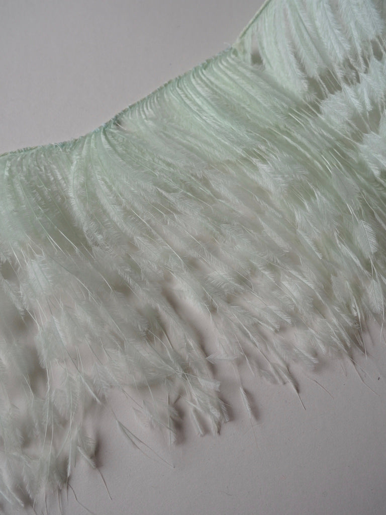 Mint Trimmed Ostrich Feather Fringing