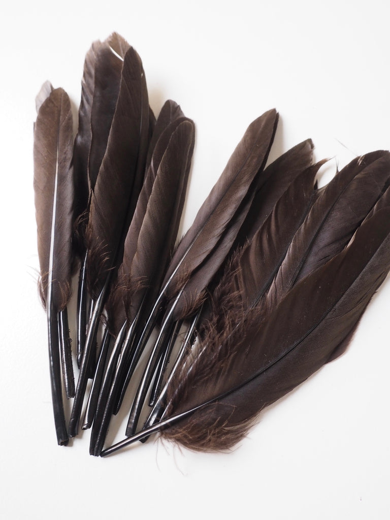 Brown Turkey Quill Feathers - 20 pieces
