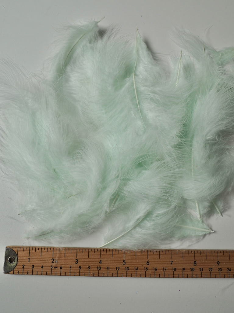 Mint Turkey Coquille Feathers - 20 pieces